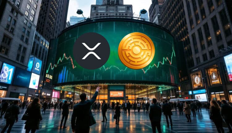 Ekspert twierdzi, że XRP wygląda najlepiej w pierwszej dziesiątce i przewiduje wzrost do 6 dolarów w 9 dni
