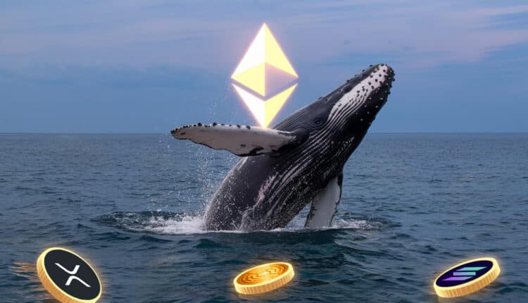 Ethereum (ETH) celuje w 3000 dolarów. Trzy inne altcoiny, które warto śledzić