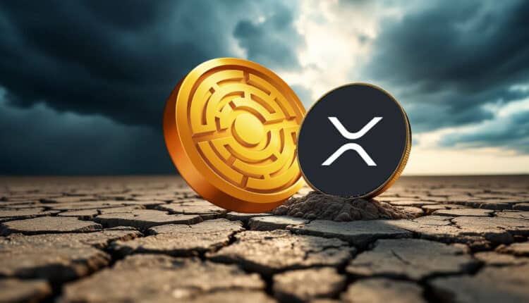 Oto co dalej z XRP, analiza sugeruje generacyjny dołek — nowy rywal na horyzoncie?
