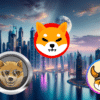 Dogen, Shib, Floki na tle miasta.