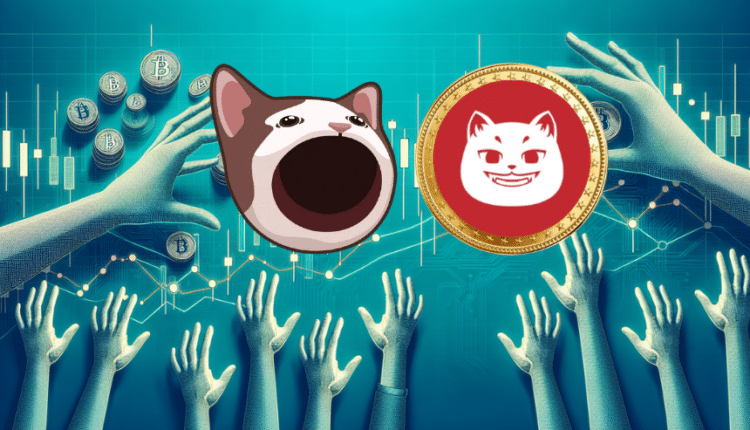 Popcat i Catzilla w kręgu zainteresowań rynku.