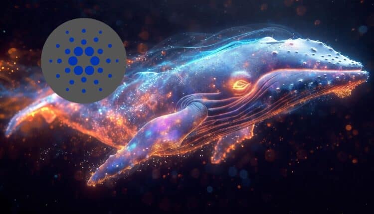 Wieloryby sprzedały ponad 330 mln sztuk tej topowej kryptowaluty. Cena zalicza zjazd o 30%. Zaczyna robić się nieciekawie