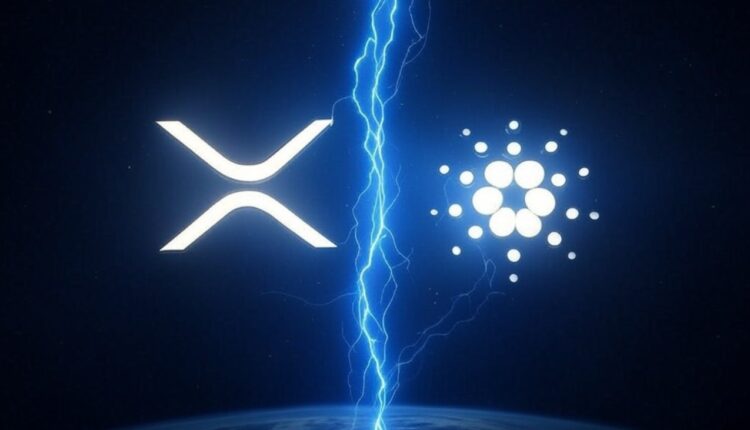 Ripple i Cardano połączą siły?! Spekulacje rozgrzewają rynek krypto do czerwoności