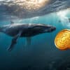 Wieloryby kupujące Dogecoin i rosnące zainteresowanie kryptowalutami.