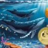 Akumulacja wielorybów Dogecoin i MTAUR oraz przyszłość.