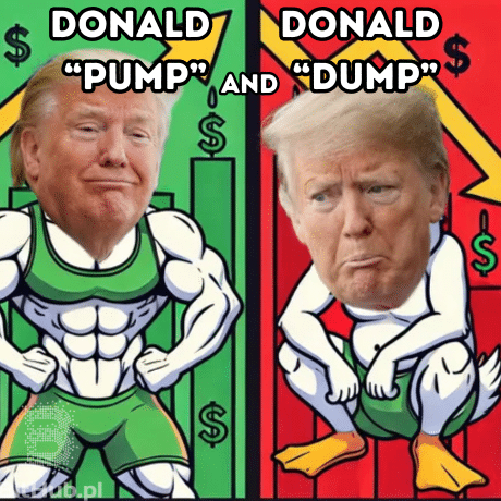 mem_donald_trump_pump_and_dumb