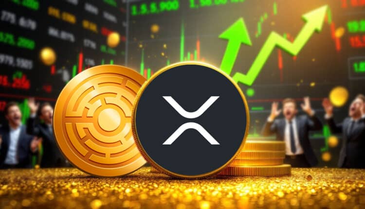 Ekspert sugeruje, że trzymanie 1000 XRP może być ruchem, który przyniesie sukces.