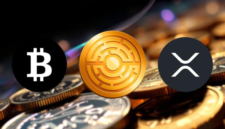 Każdy fan Bitcoina może żałować, że nie kupił XRP. Tak twierdzi ekspert