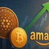 cardano amazon bitcoin krypto