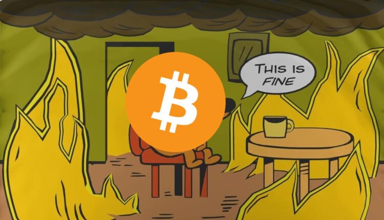 Bitcoin i krypto topnieją, a ekspert szaleje. „Do cholery, po prostu bądźcie cierpliwi!”