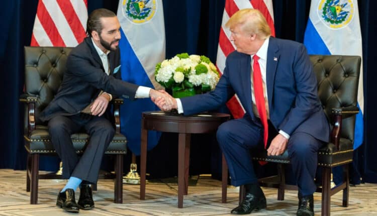 Spotkanie Trump – Bukele już niebawem. Czy omówią również kryptowaluty?