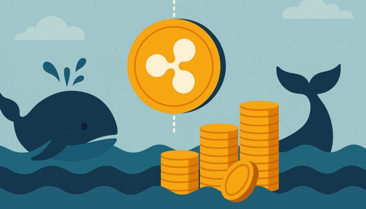 Wieloryb przenosi dziesiątki milionów dolarów w XRP. O co chodzi?