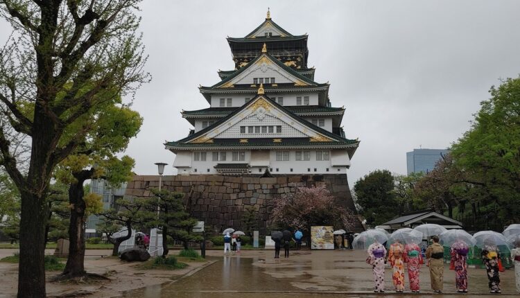 Japonia bez ryżu. Mimo świetnych zbiorów – brakuje podstawowego zboża, gdzie się podziało?