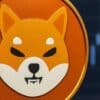shiba inu meme memecoin