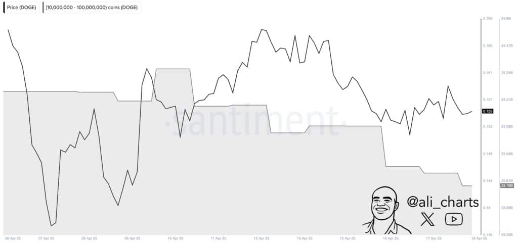 fot. X / @ali_charts