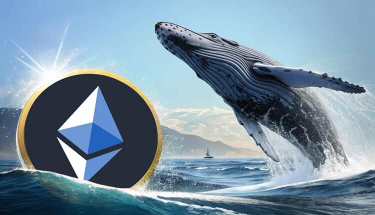 Duzi posiadacze nie tracą nadziei w ETH. Co planują wieloryby i jak będzie kształtować się cena tokena?