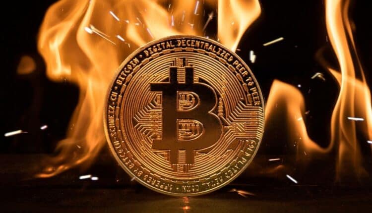 Jak Bitcoin zareaguje na cła Trumpa? Ekspert wyjaśnia, co nas czeka