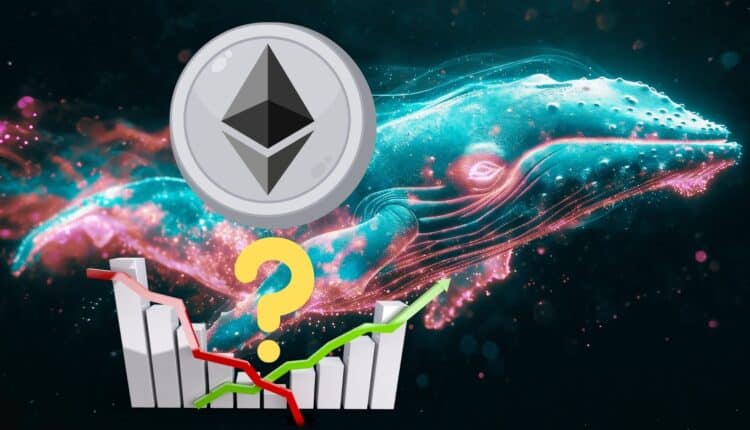 Wieloryby krążą wokół Ethereum i wykonują nietypowe ruchy. O co tu chodzi?