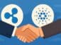 ripple cardano