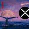 Wieloryby porzucają XRP.
