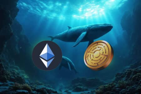 Wieloryby stawiają na ETH i MTAUR tak, jak na BTC w 2015 roku