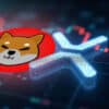 Wydać 10 000 USD na Shiba Inu czy XRP Co po pięciu latach bardziej się opłaci ChatGPT i Google Gemini dzielą się swoimi typami.