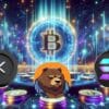 beerbear xrp solana