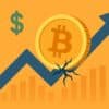 bitcoin (1)