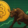 bitcoin bull
