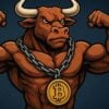 btc bull bitcoin