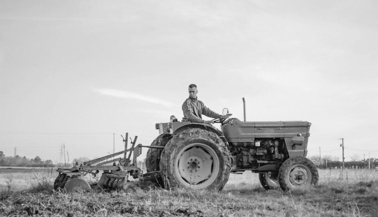 Gigantyczne zasoby złota na polu to… oszustwo. Nie ma metalu, fortuny i rolnika, który miał je znaleźć