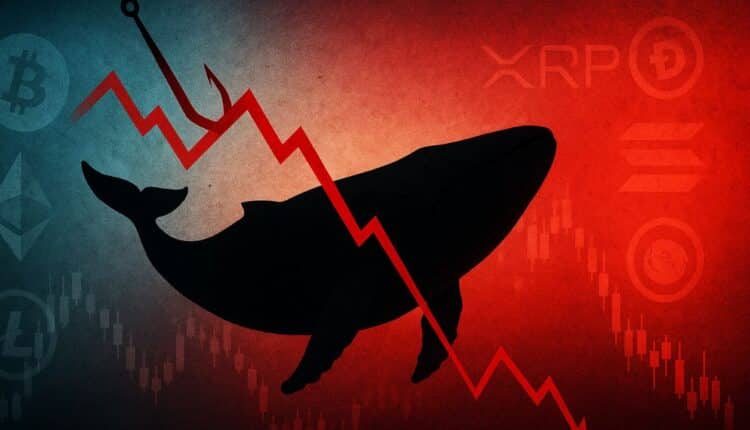 Starożytny wieloryb sprzedał 24 tys. BTC. Błyskawicznie zainwestował w inną kryptowalutę. Jaką?