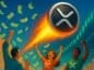 xrp ripple wzrost