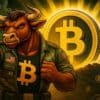 bitcoin btc bull