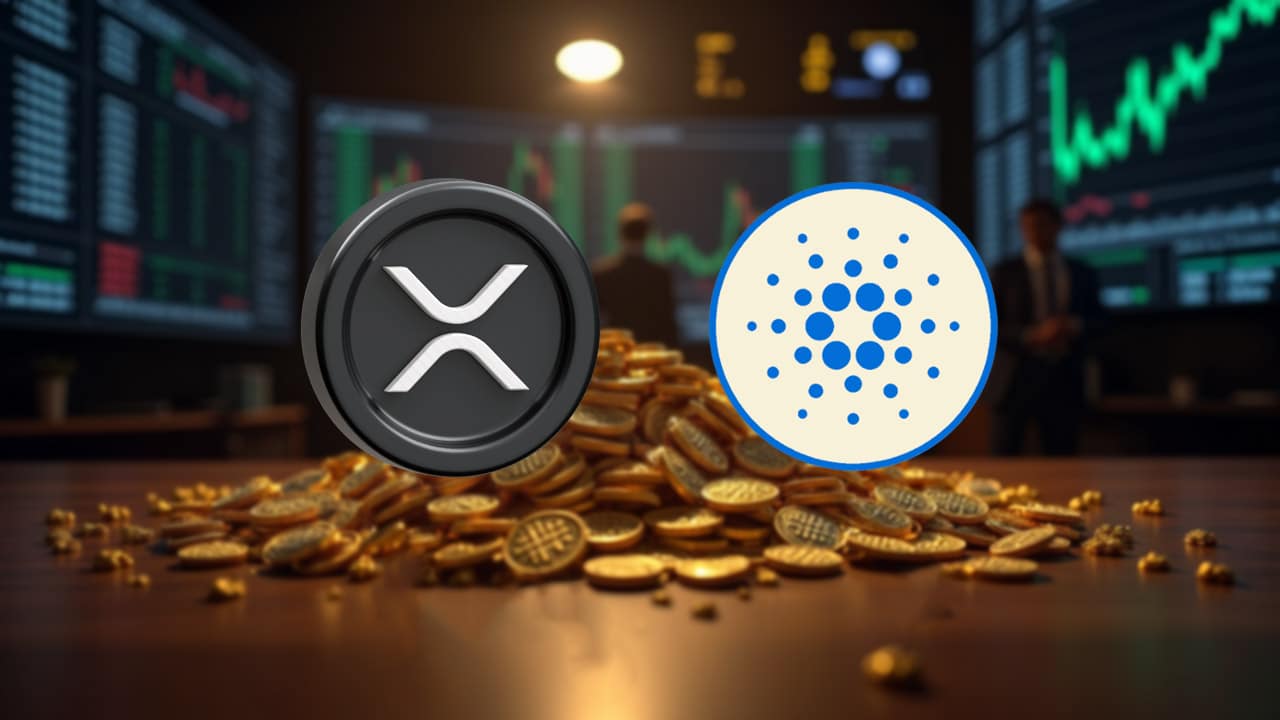 Oto ile tokenów NIGHT otrzymają posiadacze XRP w trakcie Cardano Midnight Airdrop.