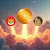 Trzy altcoiny poniżej 0,5 USDT, które mogą uczynić Cię wygranym podczas tej hossy.