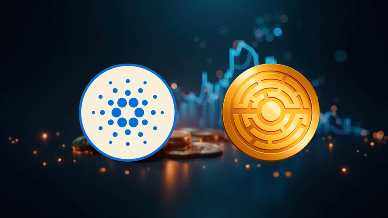 Weteran kryptowalut twierdzi, że kupowanie ADA teraz jest jak kupowanie Bitcoinów w 2016 roku.
