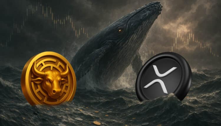 Kupujesz w dołku? Oto monety o potencjale 1000%, które gromadzą wieloryby