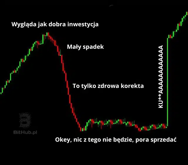 mem_wykres_inwestycja
