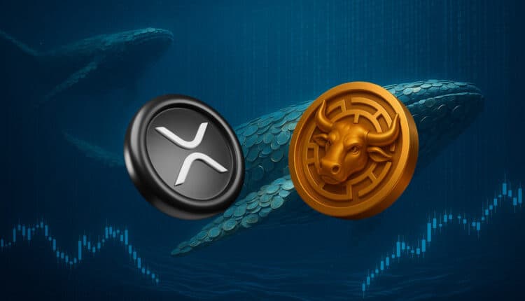 Rzadki sygnał XRP, który doprowadził go do +630%, znów błysnął. Wieloryby w ruchu, nowa okazja na horyzoncie