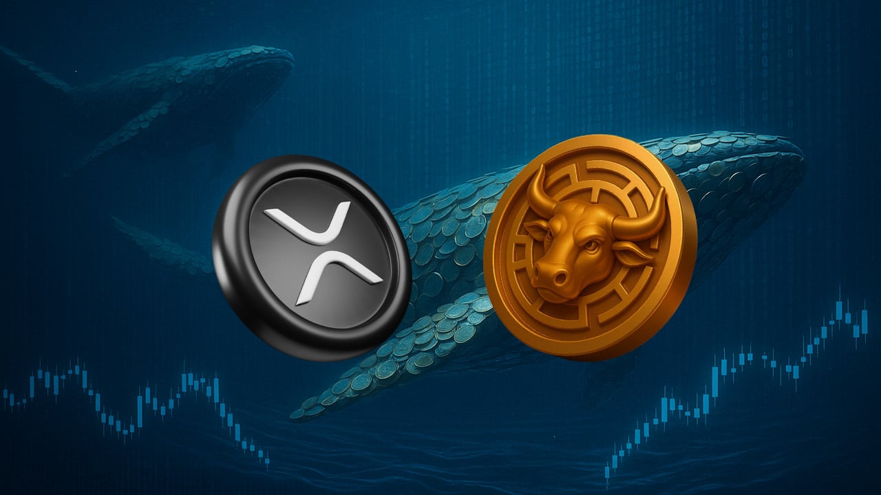 minotaurus mtaur xrp
