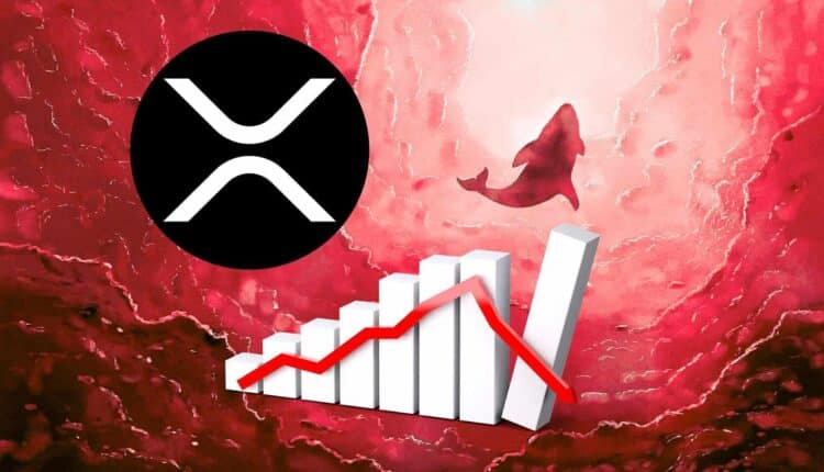 Czy wieloryby zatopią XRP? Ponad 30 mln Ripple trafiło na giełdy. Czerwonych flag jest więcej