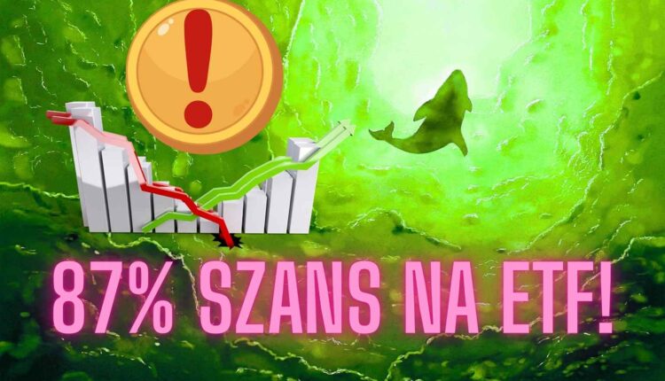 To będzie kolejny altcoin z ETF? Ma 87% szans na zatwierdzenie. Wieloryby już zajęły pozycję