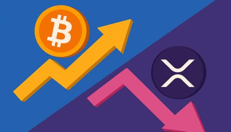 Insider Ripple: XRP to 2x lepszy wybór niż BTC