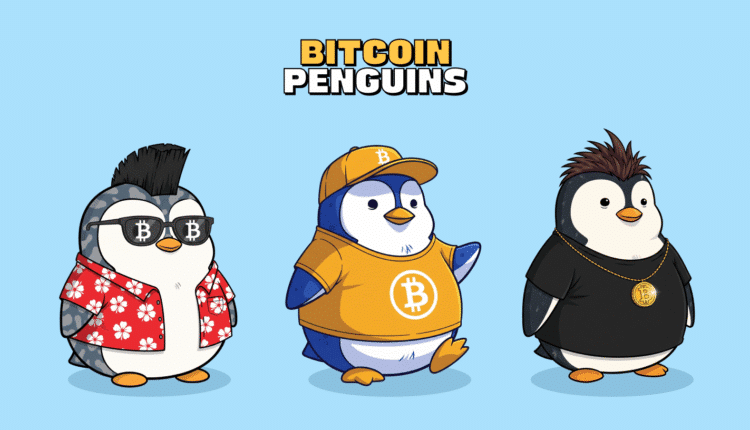 Bitcoin Penguins podbija Polskę. Sprawdź, skąd ten szał