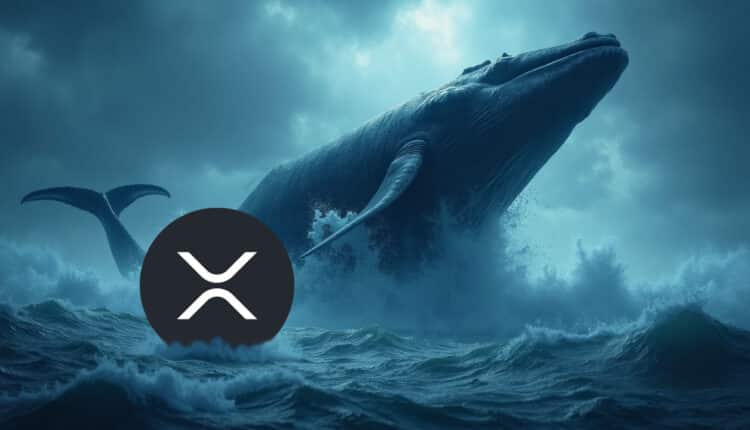 Ten wieloryb postawił wszystko na jedną kartę przeciwko XRP i właśnie zapłacił za to cenę