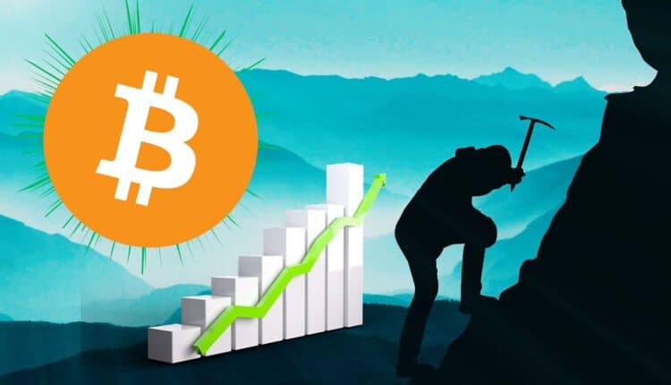 To jeszcze nie koniec? Rekord Bitcoina z tego roku pobity. Eksperci byli w błędzie?