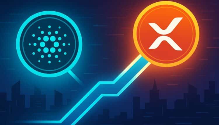 Cardano nawiąże współpracę z Ripple?