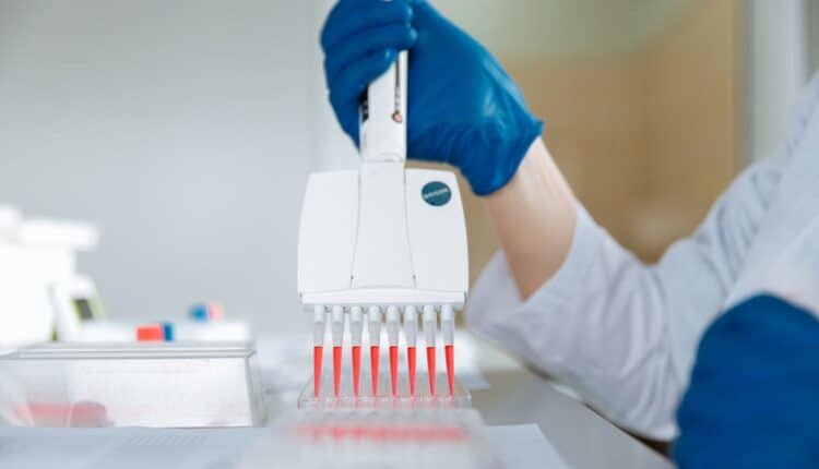 Giełdowy fenomen. Notowania tej spółki rosną od dnia debiutu. Firma da jeszcze zarobić inwestorom?