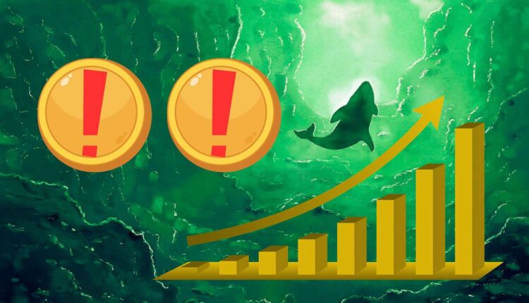 Wieloryby kupowały te kryptowaluty na spadkach w ogromnych ilościach. Jeden typ zaskakuje. Wiedzą coś więcej?